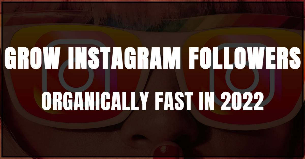 How To Grow Instagram Followers Organically Fast In 2022